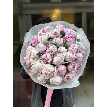 Pembe Şakayık 35 Lİ