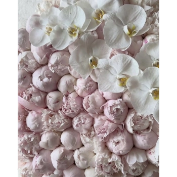Peony Orchid Arrangement
