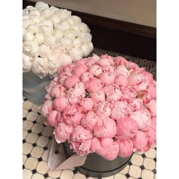 Peonies in a Box