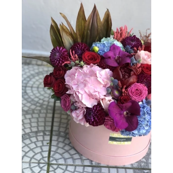 Colorful Box Arrangement