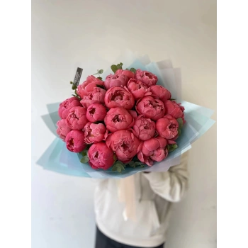 Peony Coral Sanset