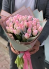 Pink Vip Tulip