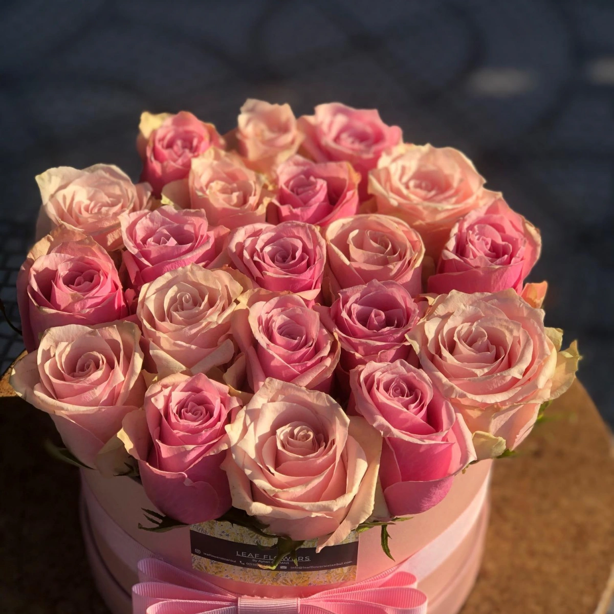 Pembe Kutu Gül