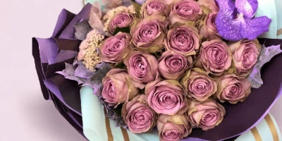 مرحبًا بكم في العالم السحري لزهرة الأوراق!