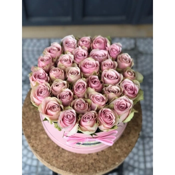 Pink Box Rose