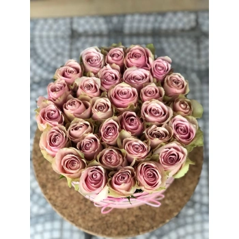 Pink Box Rose