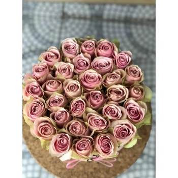 Pink Box Rose