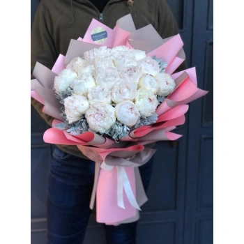 فيب بياض شاكاييك