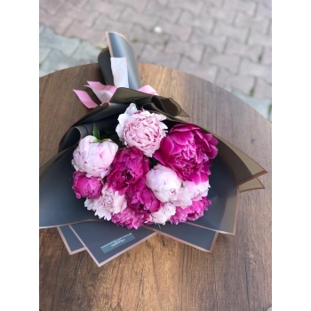 Pembe Şakayık