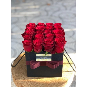 Red Box Rose