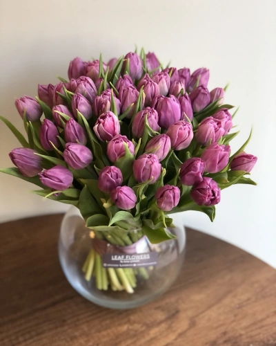 Lila Lale Aranjmanı