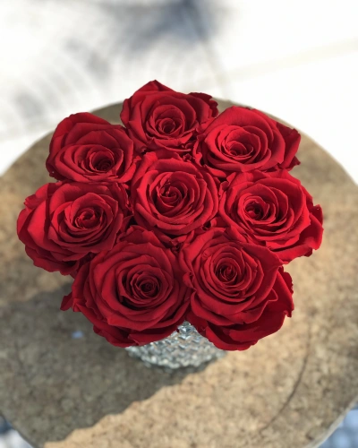 Kristal Cam Vazoda Kırmızı Şoklu Gül