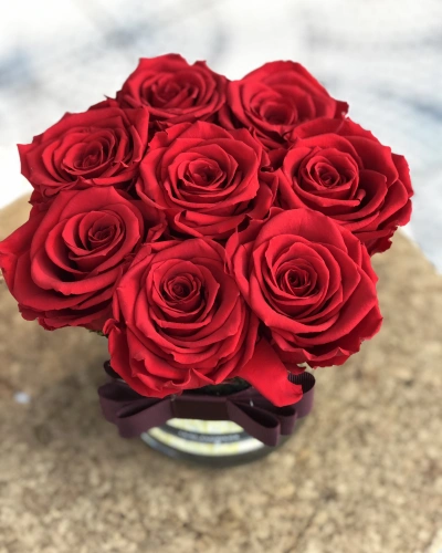 Cam Vazoda Kırmızı Şoklu Gül