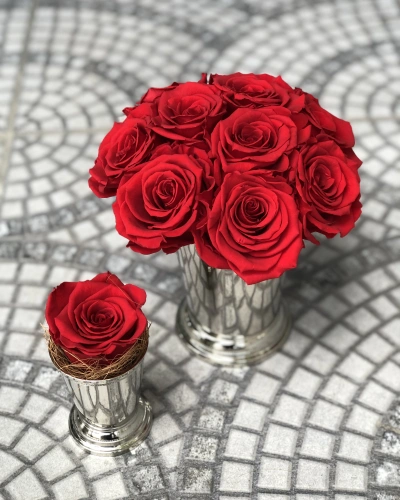 Gümüş Kırmızı Şoklu Gül