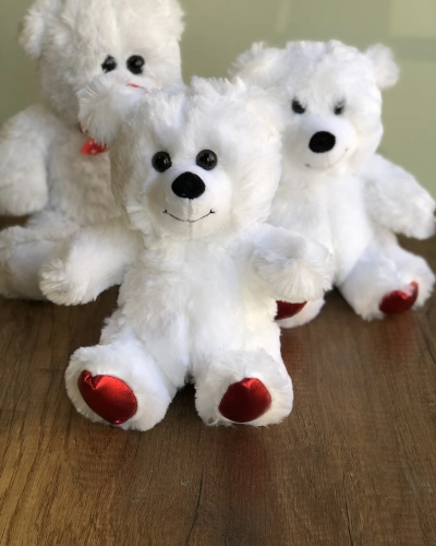 Beyaz Peluş Ayıcık