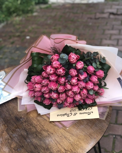 Pembe Katmerli Laleler