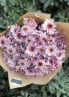 Pembe Krizantem Buketi