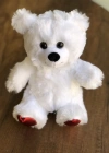 Beyaz Peluş Ayıcık