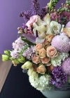Colorful Arrangement