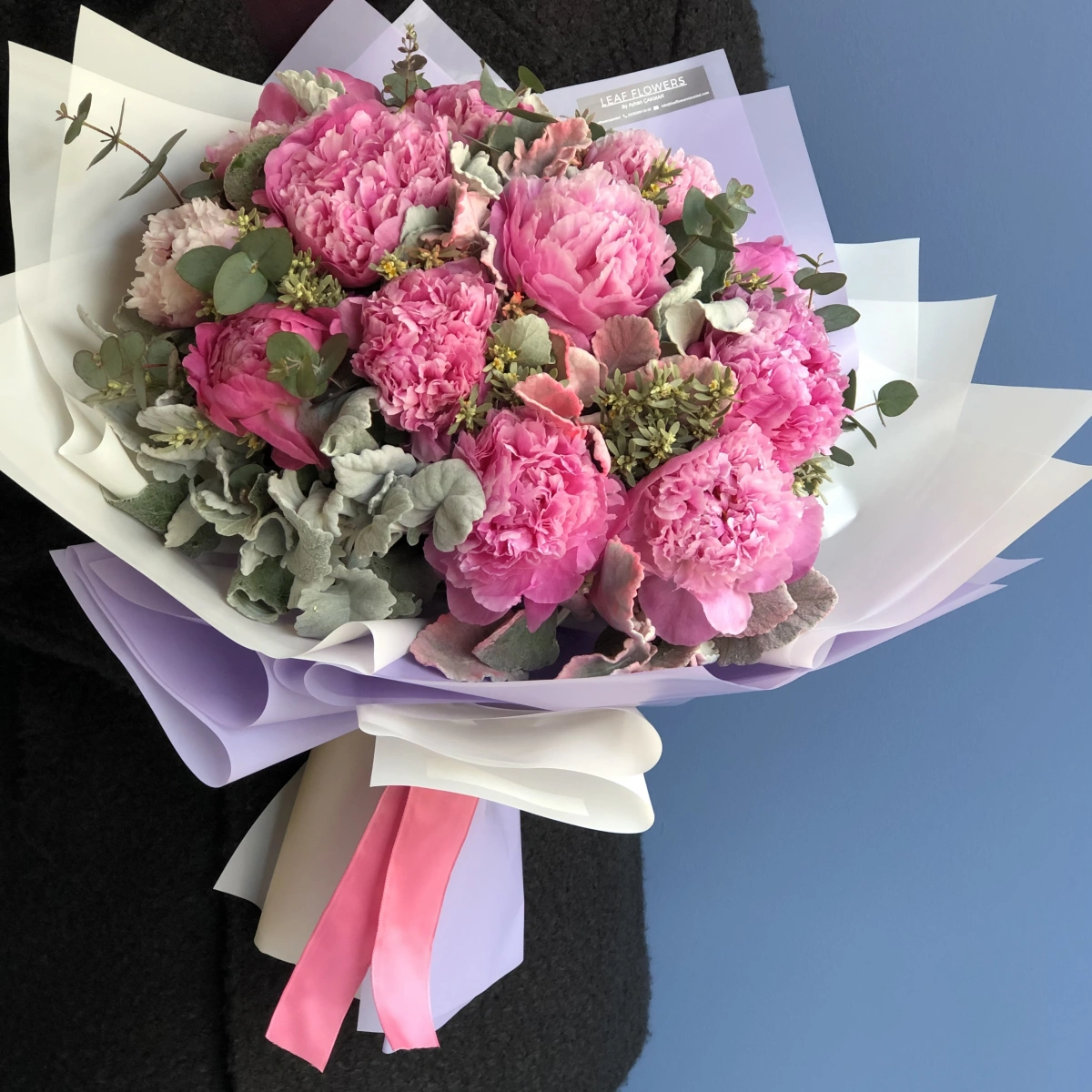 Fuchsia Peonies