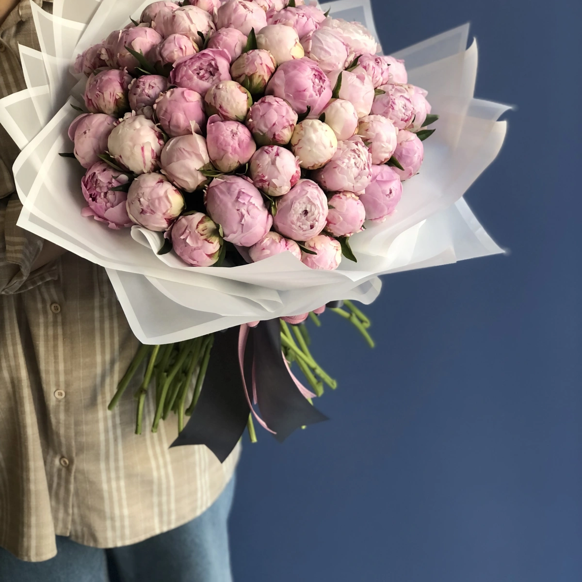 Rüya Pembe Şakayık Bahçesi