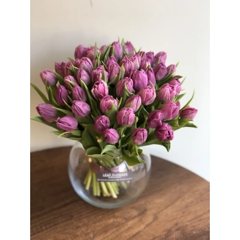 Lila Lale Arrangement