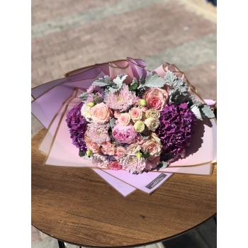 فراشة الربيع