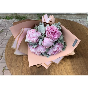 Pink Peony