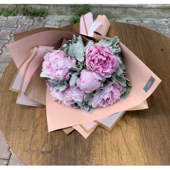 Pink Peony