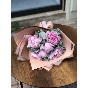 Pink Peony