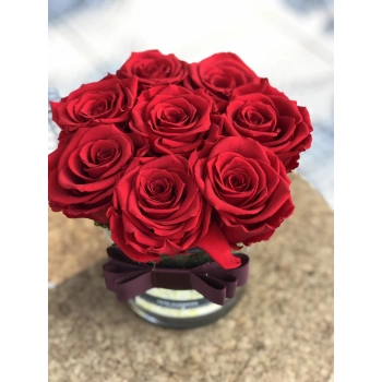 Red Shocked Rose in Glass Vase