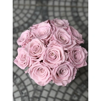 Gümüş Pembe Şoklu Gül