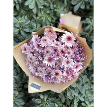Pembe Krizantem Buketi