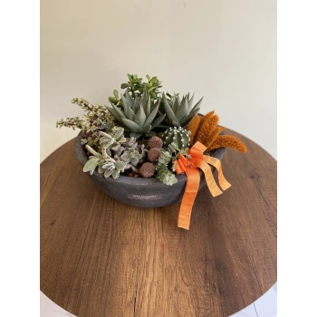 Succulent in a Black Concrete Vase