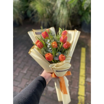 Orange Tulip