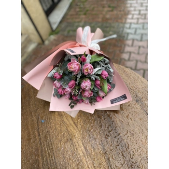 Pink Tulip