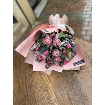 Pink Tulip