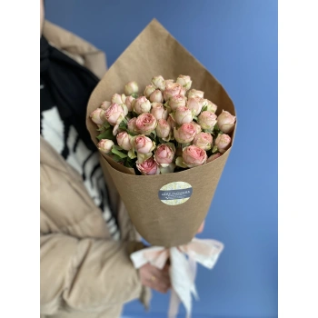 Pink Pergola Rose