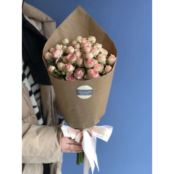 Pink Pergola Rose