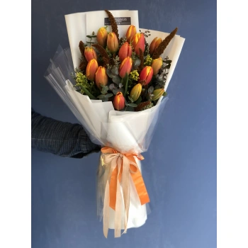 Orange Tulips