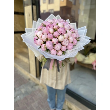 Rüya Pembe Şakayık Bahçesi