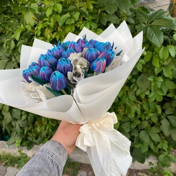 Blue Purple Special Tulip