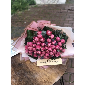 Pink Double Tulips