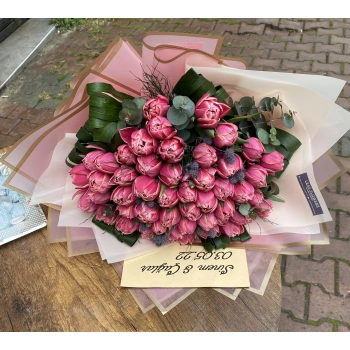 Pink Double Tulips