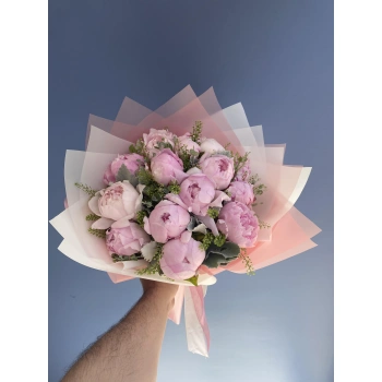 Açık Pembe Şakayık