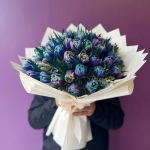 Galaxy & Special Tulips