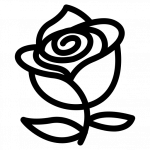 Kırmızı Güller