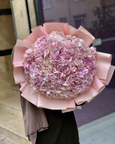 Pembe Ortanca Buketi