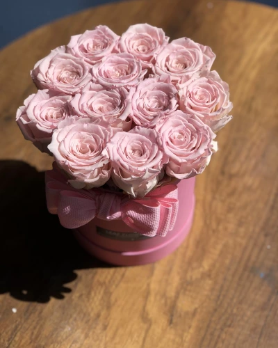 Kutuda Pembe Şoklu Gül