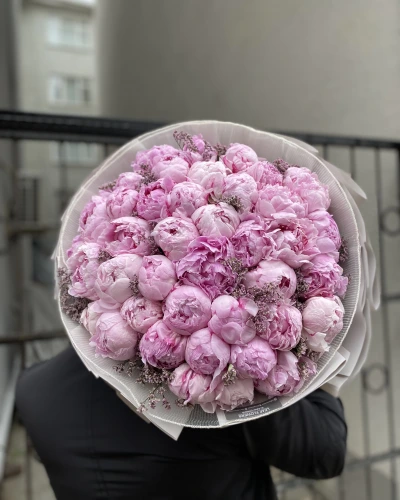 Pembe Şakayık Limonium 41 Li